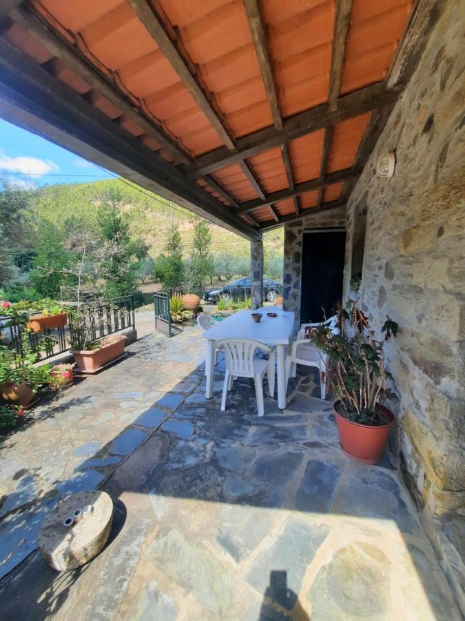 Casa Penafalcao คาสเตโลแบรนโค ภายนอก รูปภาพ